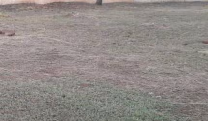 Terreno à Venda - 522m2 - Condomínio Parque Xangrilá, Campinas, SP
