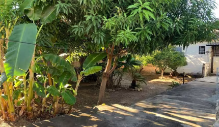 Casa à Venda - Jardim Primavera, Campinas - 300m2  - 6 Quartos