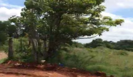 Terreno à Venda - Toró, Bragança Paulista - 24.200m2