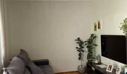 Apartamento à Venda - Vila Joaquim Inácio, Campinas - 85m2  - 2 Quartos