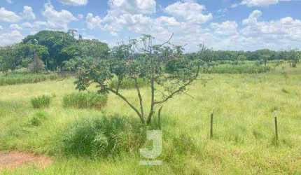Área à Venda - Barão Geraldo, Campinas - 18.600m2