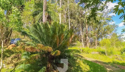 Chácara à Venda - Bosques de Notre Dame, Campinas - 20.030m2  - 2 Quartos