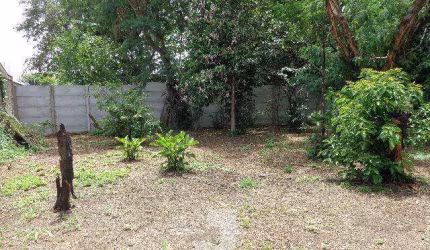 Terreno à Venda - Jardim Conceição (Sousas), Campinas - 1.000m2