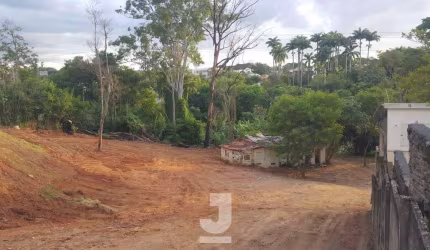 Terreno à Venda - Jardim das Paineiras, Campinas - 7.540m2