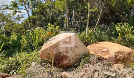 Lote / Terreno em Vargem Grande - Florianópolis, SC