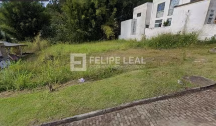 Ótimo e amplo Terreno em Canasvieiras  -  Florianópolis