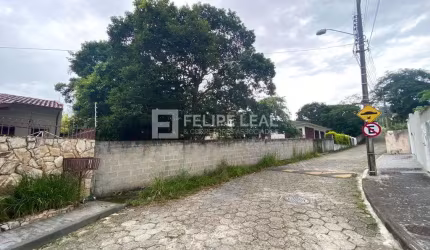 Lote / Terreno em Santa Mônica  -  Florianópolis