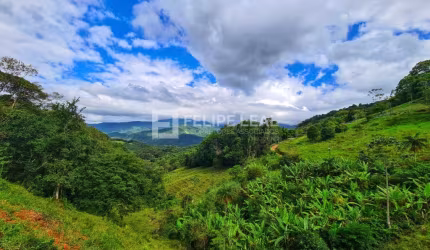Chácara em Rio Gaspar - Águas Mornas, SC