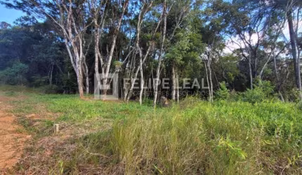 Lote / Terreno em Calemba  -  Santo Amaro da Imperatriz
