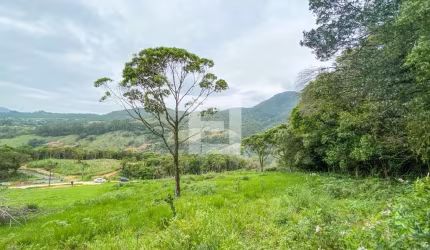 Lote / Terreno em Centro - Santo Amaro da Imperatriz, SC