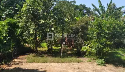 Casa em Forquilhas  -  São José