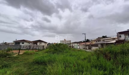 Lote / Terreno em Ipiranga  -  São José