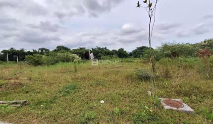 Lote / Terreno em Forquilhas  -  São José