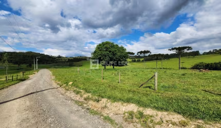 Terreno em Vargeado  -  Rancho Queimado