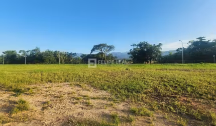 Lote / Terreno em Sul do Rio  -  Santo Amaro da Imperatriz
