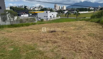 Lote / Terreno em Bairro Pedra Branca  -  Palhoça