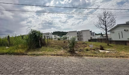Terreno Loteamento em Areias  -  São José