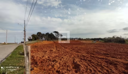 Área em Guaporanga  -  Biguaçu