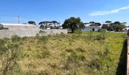 Terreno à venda na Rua Lidia Mendes dos Santos, 7, Costeira, São José dos Pinhais por R$ 360.000