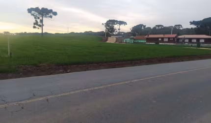 Chácara / sítio com 5 quartos à venda na Rua Antônio Greboge, Zona Rural, São José dos Pinhais, 252 m2 por R$ 1.100.000