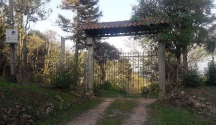 Chácara / sítio com 4 quartos à venda na Rua João Bortolan, Zona Rural, São José dos Pinhais, 270 m2 por R$ 790.000