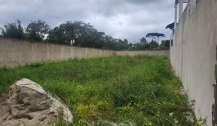 Terreno à venda na Rua Joaquim Alves Fontes, 2010, Colônia Murici, São José dos Pinhais, 343 m2 por R$ 220.000