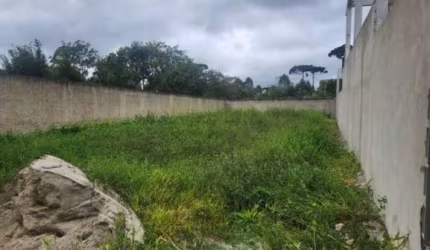 Terreno à venda na Rua Joaquim Alves Fontes, 2010, Colônia Murici, São José dos Pinhais, 343 m2 por R$ 220.000