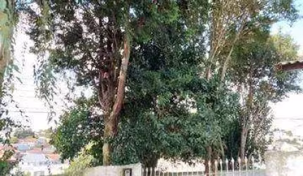 C-TE0581 Novo mundo - Terreno de Esquina