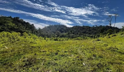 Chácara venda 145200m² por R$ 700.000 - Paiol de Baixo - Campina Grande do Sul/PR