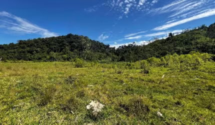 Chácara à venda, 145200 m² por R$ 900.000,00 - Paiol de Baixo - Campina Grande do Sul/PR