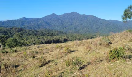 Fazendas para venda em Cananeia no bairro Itapitangui
