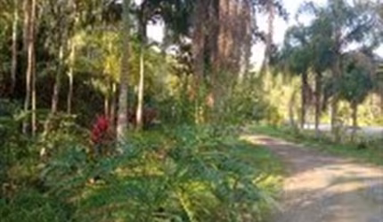 Sítios para venda em Cananeia no bairro Iririaria Mirim