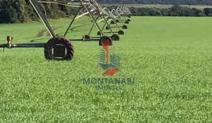 Belíssima Fazenda Paranapanema 893,4 Alqueires