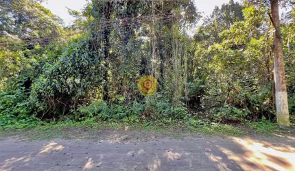 Terreno com 360 m² – Natureza, Tranquilidade e Grande Potencial de Valorização