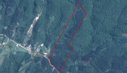 Terreno Rural à venda com área de 279.528m² com eucaliptos prontos em Ascurra/SC