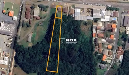 Terreno à venda, 4132 m² por R$ 1.950.000 - Rondinha, Campo Largo/PR