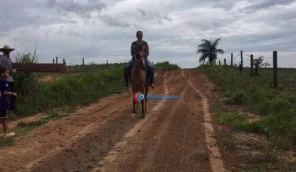 Excelente Área de 20.000 m2 - Engenheiro Coelho