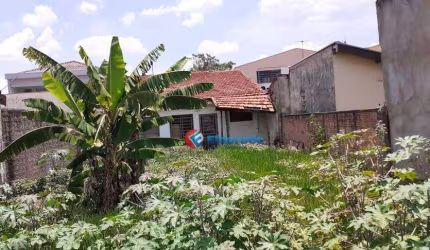 Terreno à venda, 300 m² por R$ 318.000,00 - Jardim Marchissolo - Sumaré/SP
