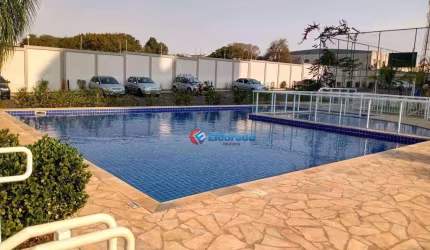Apartamento com 2 dormitórios à venda, 49 m² por R$ 230.000,00 - Jardim Maria Antonia (Nova Veneza) - Sumaré/SP