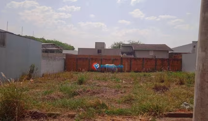 Terreno à venda, 250 m² por R$ 230.000,00 - Jardim Residencial Ravagnani - Sumaré/SP