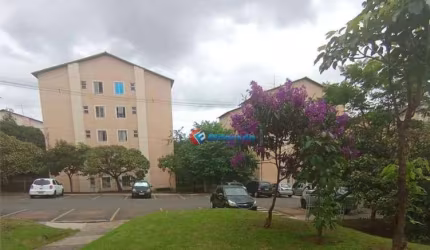 Apartamento à venda - Jardim Denadai (Nova Veneza) - Sumaré/SP