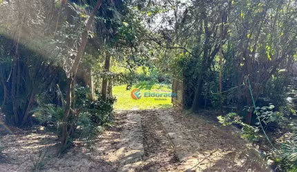 Chácara à venda - Chácara Primavera - Sumaré/SP