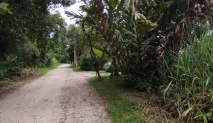 Terreno para Venda em São Sebastião, Boraceia