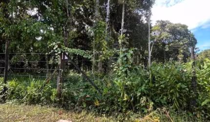 Terreno para Venda em São Sebastião, Boraceia