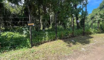 Terreno para Venda em São Sebastião, Boraceia