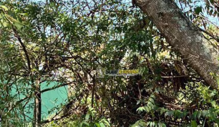 Terreno à venda, 450 m² por R$ 300.000,00 - Jardim Guanabara - Macaé/RJ