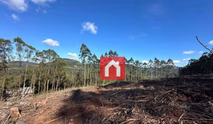 Área à venda, 70000 m² por R$ 525.000,00 - Zona Rural - Carlos Barbosa/RS