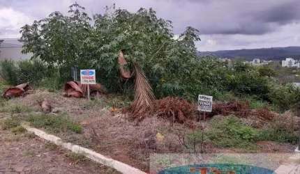 Terreno Urbano ESTÂNCIA VELHA - RS