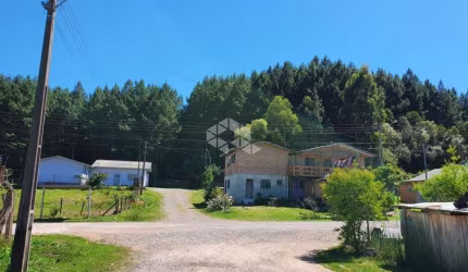 Fazenda de Pinus em Caxias do Sul