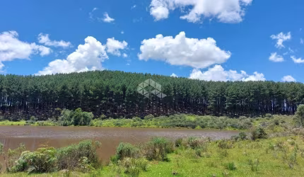 Fazenda de Pinus com 360 Hectares em Bom Jesus RS